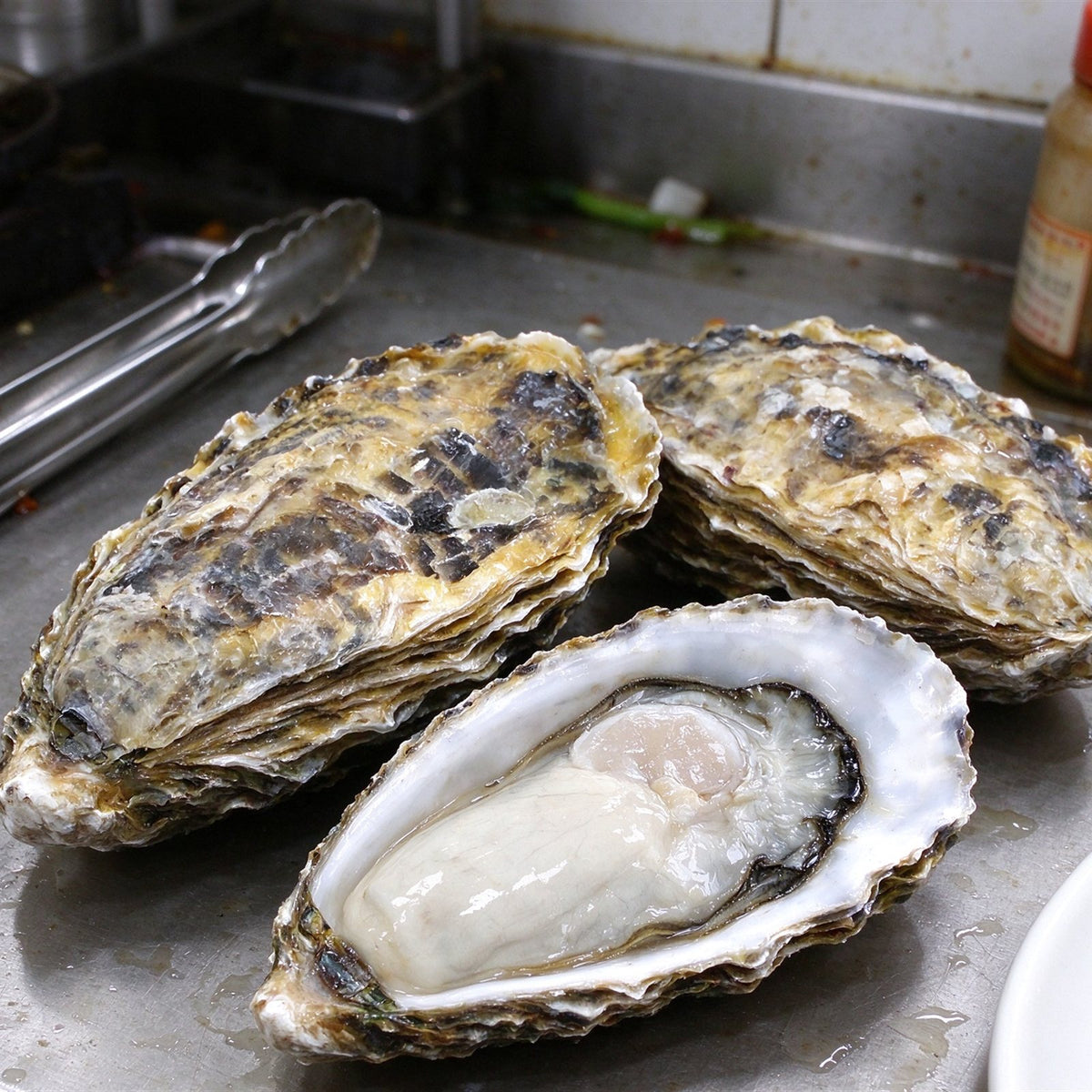 Fresh-Frozen Raw Oysters On Shell