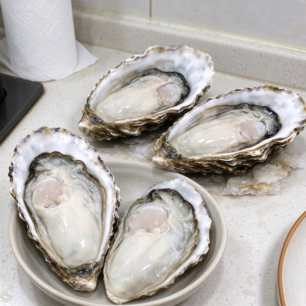 Fresh-Frozen Raw Oysters On Shell