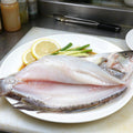 Premium Frozen Whole Sea Bass